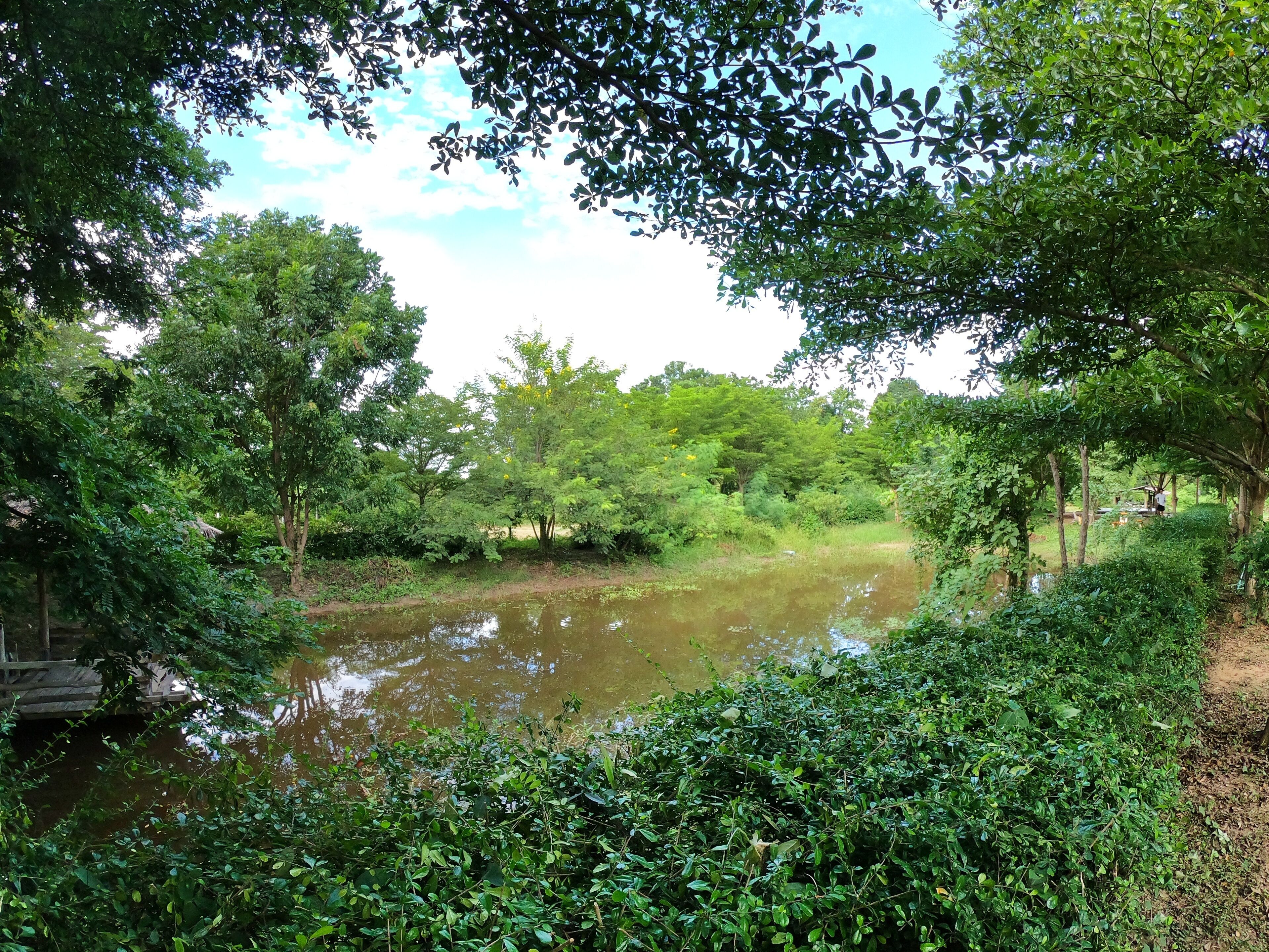 bann fa kieng din india style | garden view