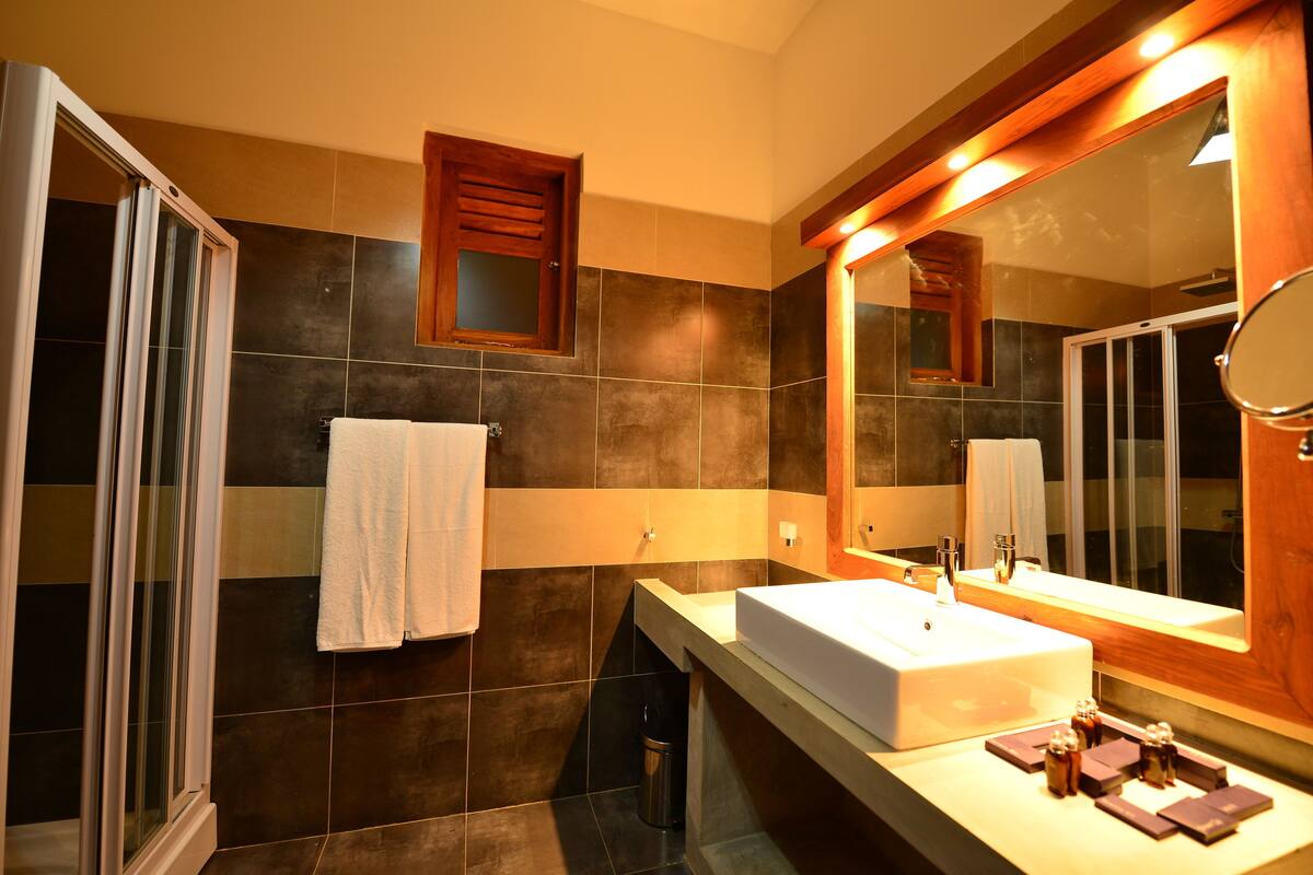 shower, free toiletries, hair dryer, slippers