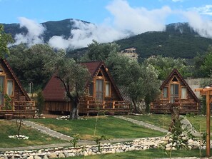 واجهة المنشأة