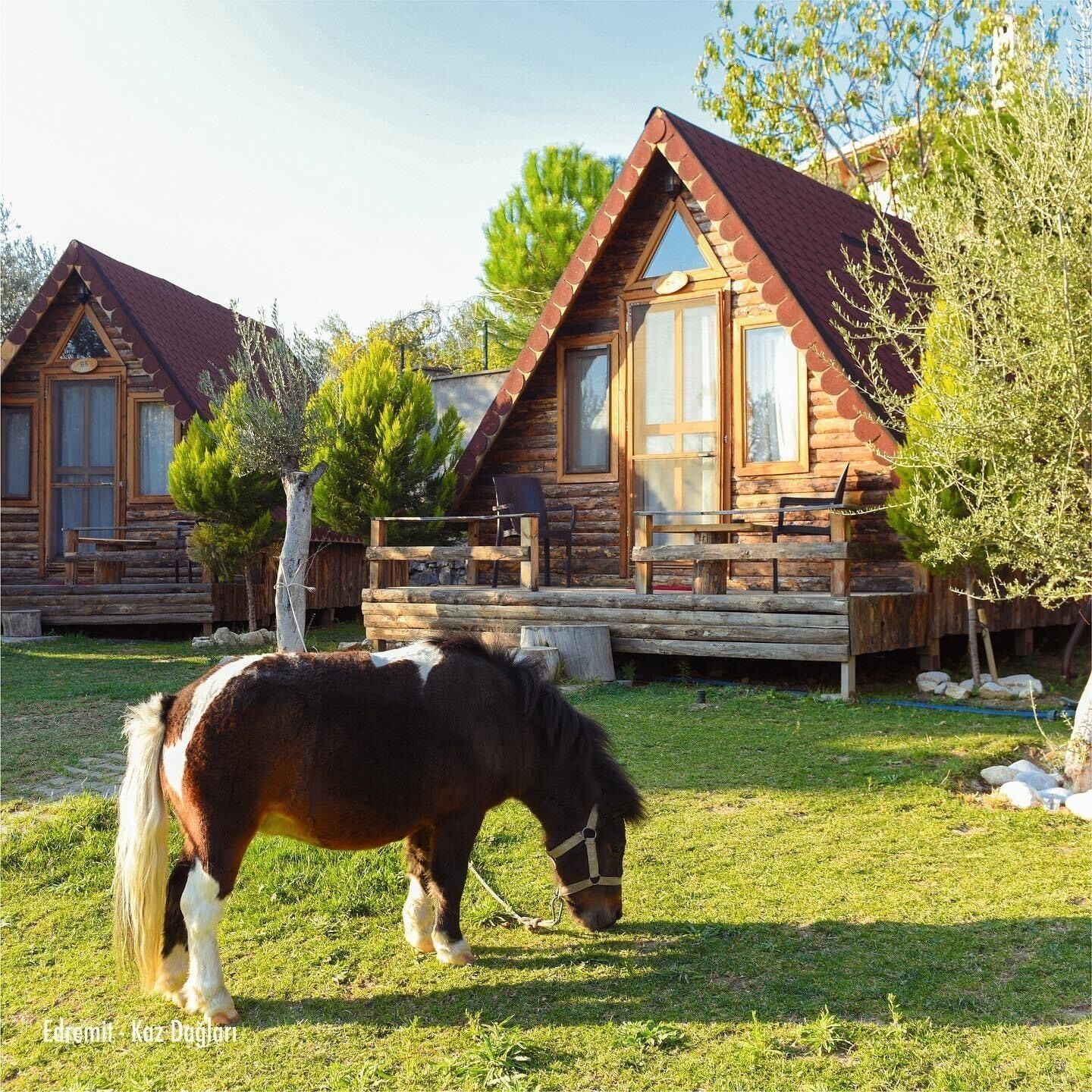 standard bungalow, 1 double bed, mountain view, garden area | terrace/patio