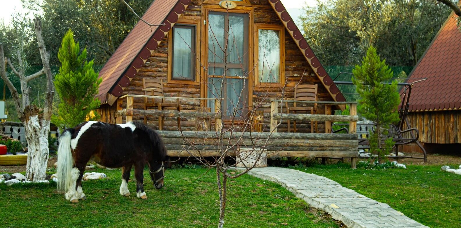 standard bungalow, 1 double bed, mountain view, garden area | ecotours