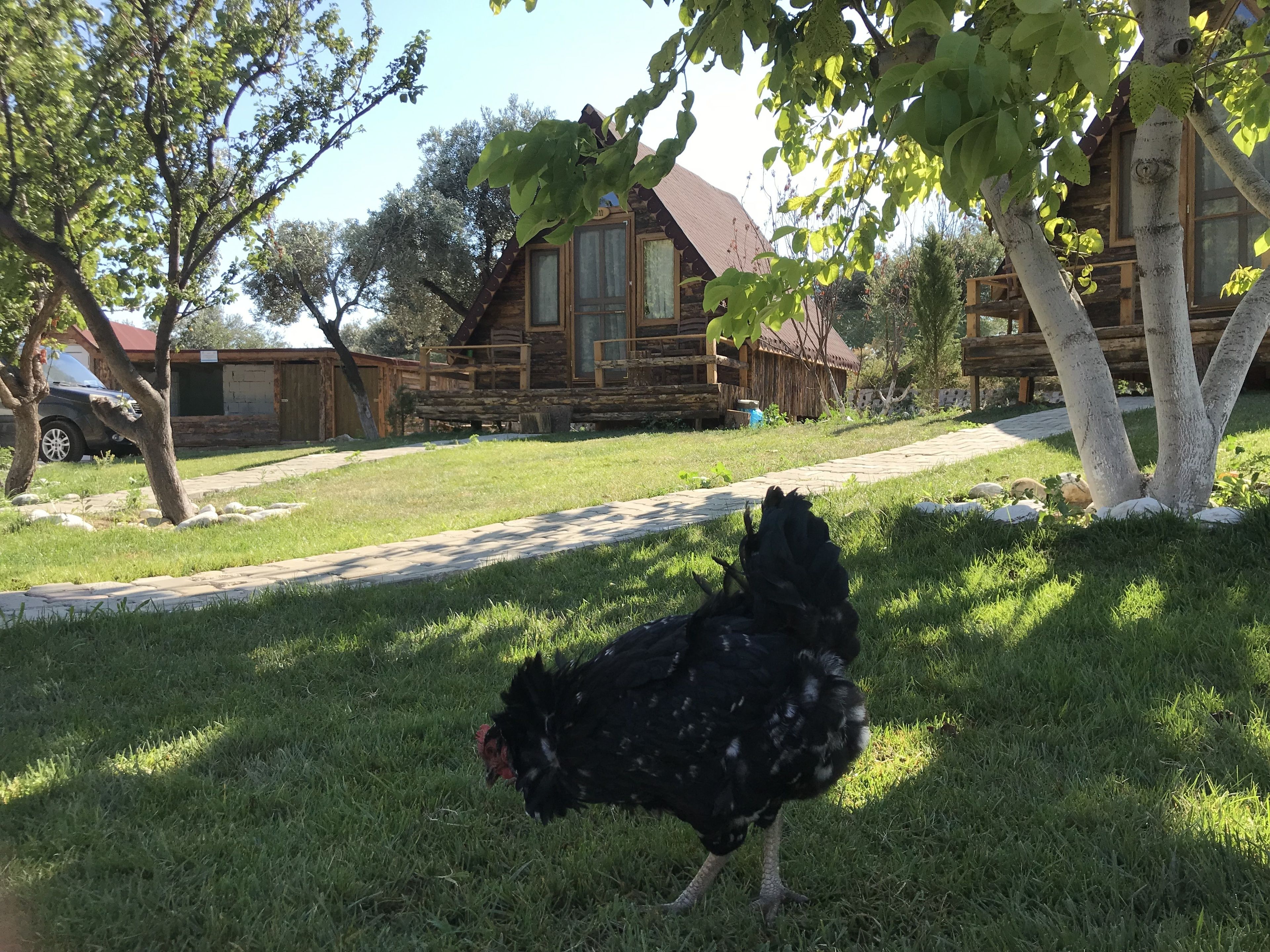 A rustic cabin with a stone foundation, a wooden deck, and a large window.