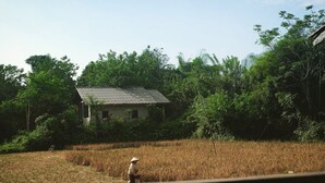 Vista dalla struttura