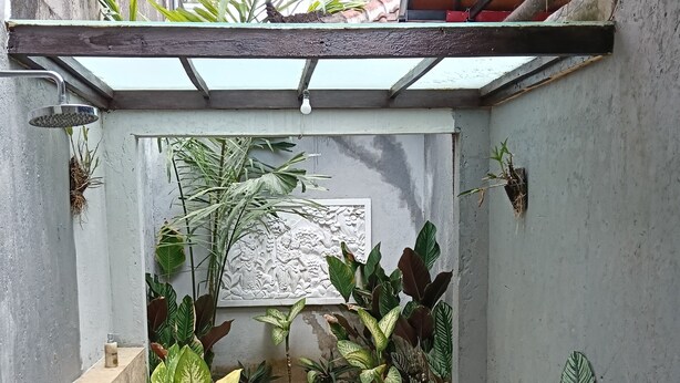 Un cortile con pavimento in cemento, una pianta centrale e diverse piante in vaso.