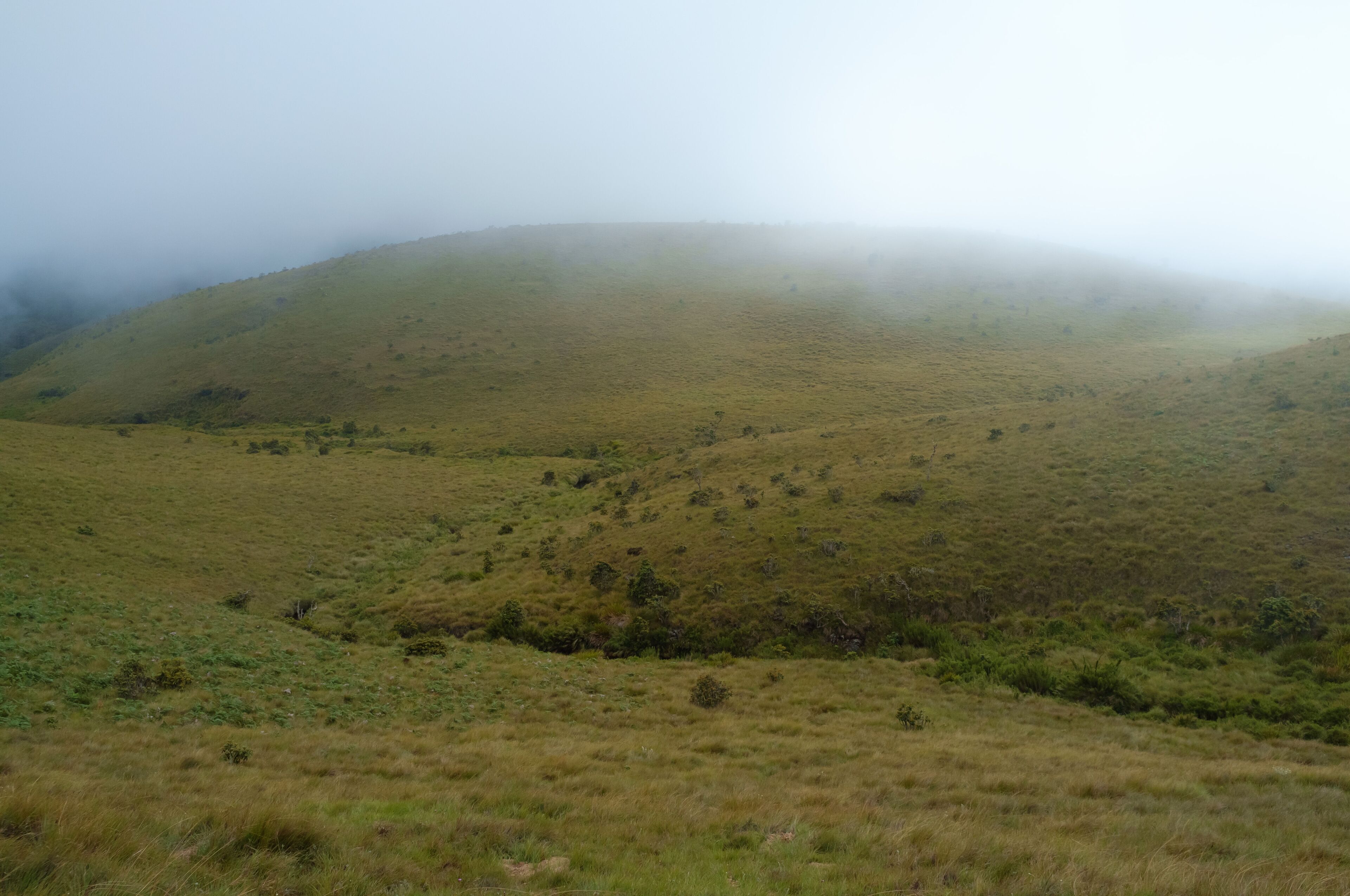 A hilly landscape with sparse vegetation and a foggy atmosphere.