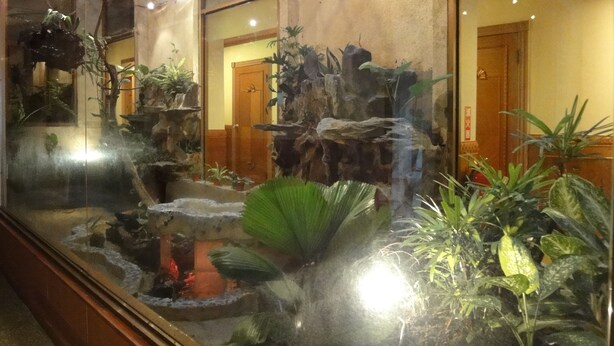 A large indoor aquarium with various aquatic plants and a small waterfall. - Taoyuan Hua Yue Hotel (Taoyuan City)