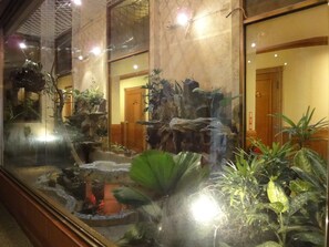 Un grand aquarium intérieur abritant différentes espèces de plantes aquatiques et une petite cascade.