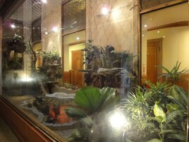 A large indoor aquarium with various aquatic plants and a small waterfall.