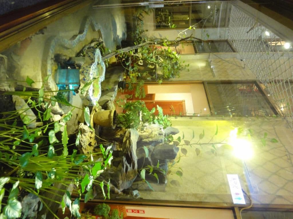 Foto - Taoyuan Hua Yue Hotel