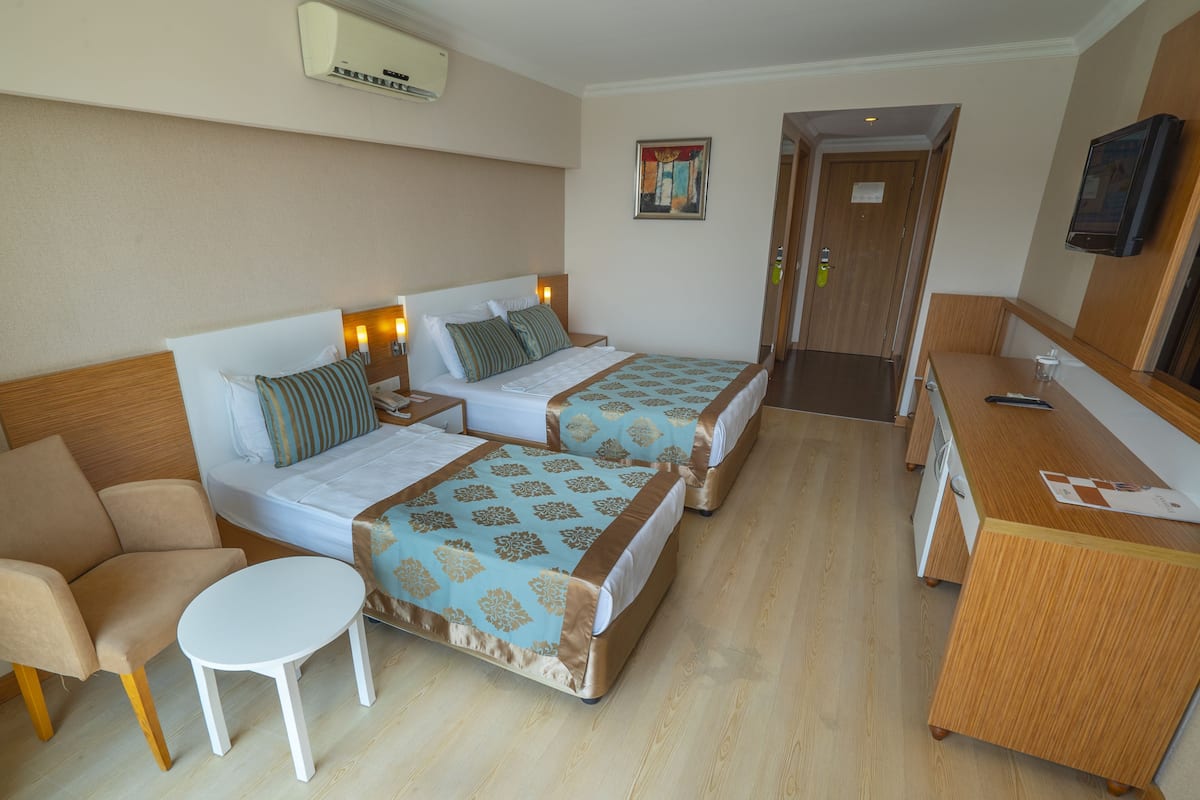 Standard Room | Minibar, desk, cribs (free), WiFi (surcharge)