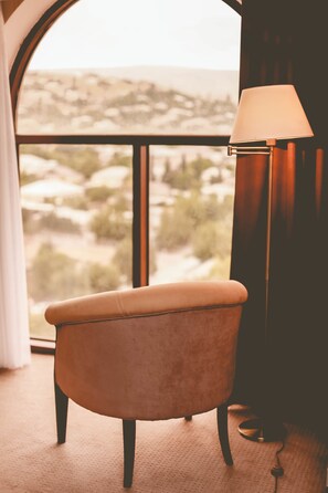 Suite (King) | View from room