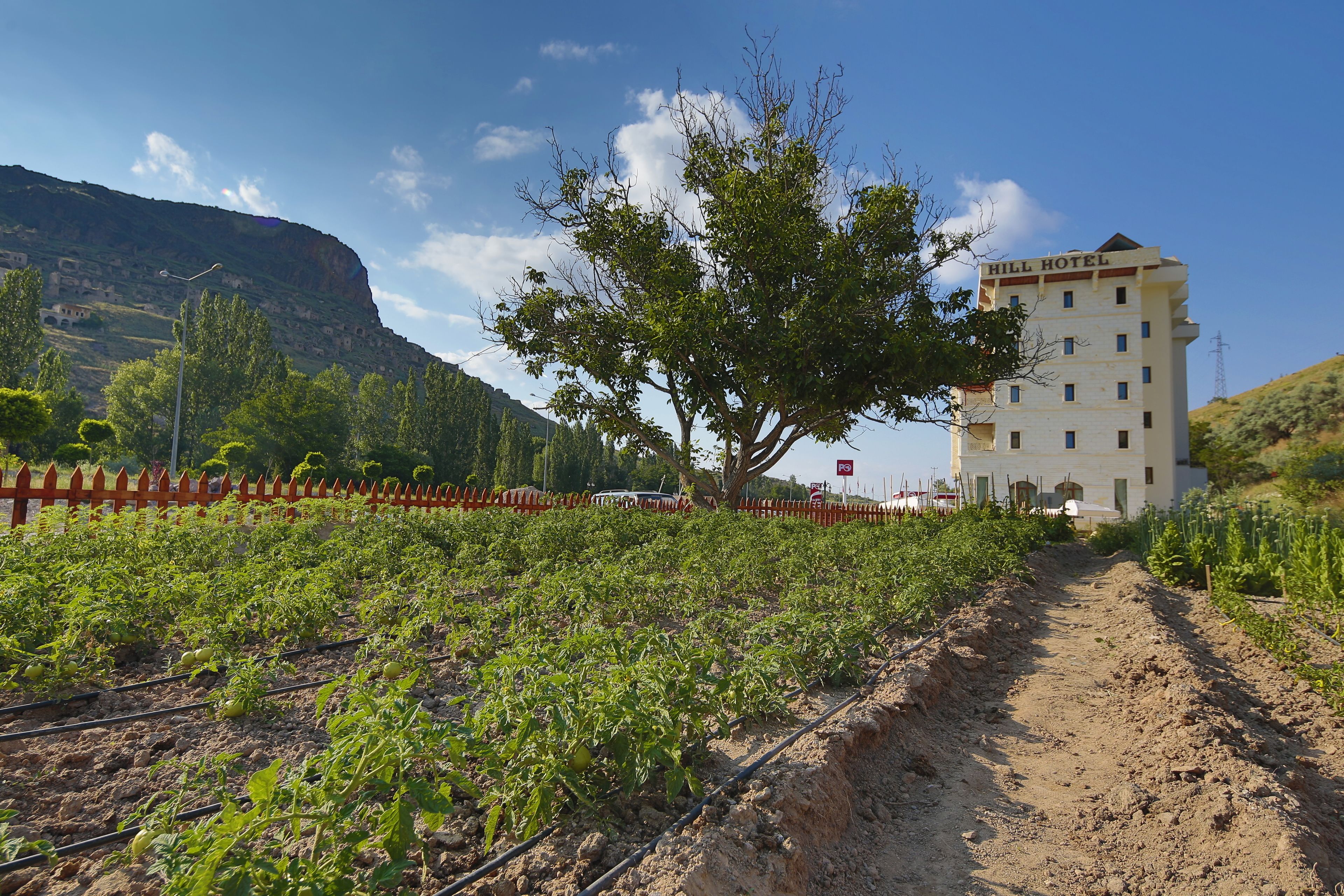 Foto - Kapadokya Hill Hotel & Spa (12+)