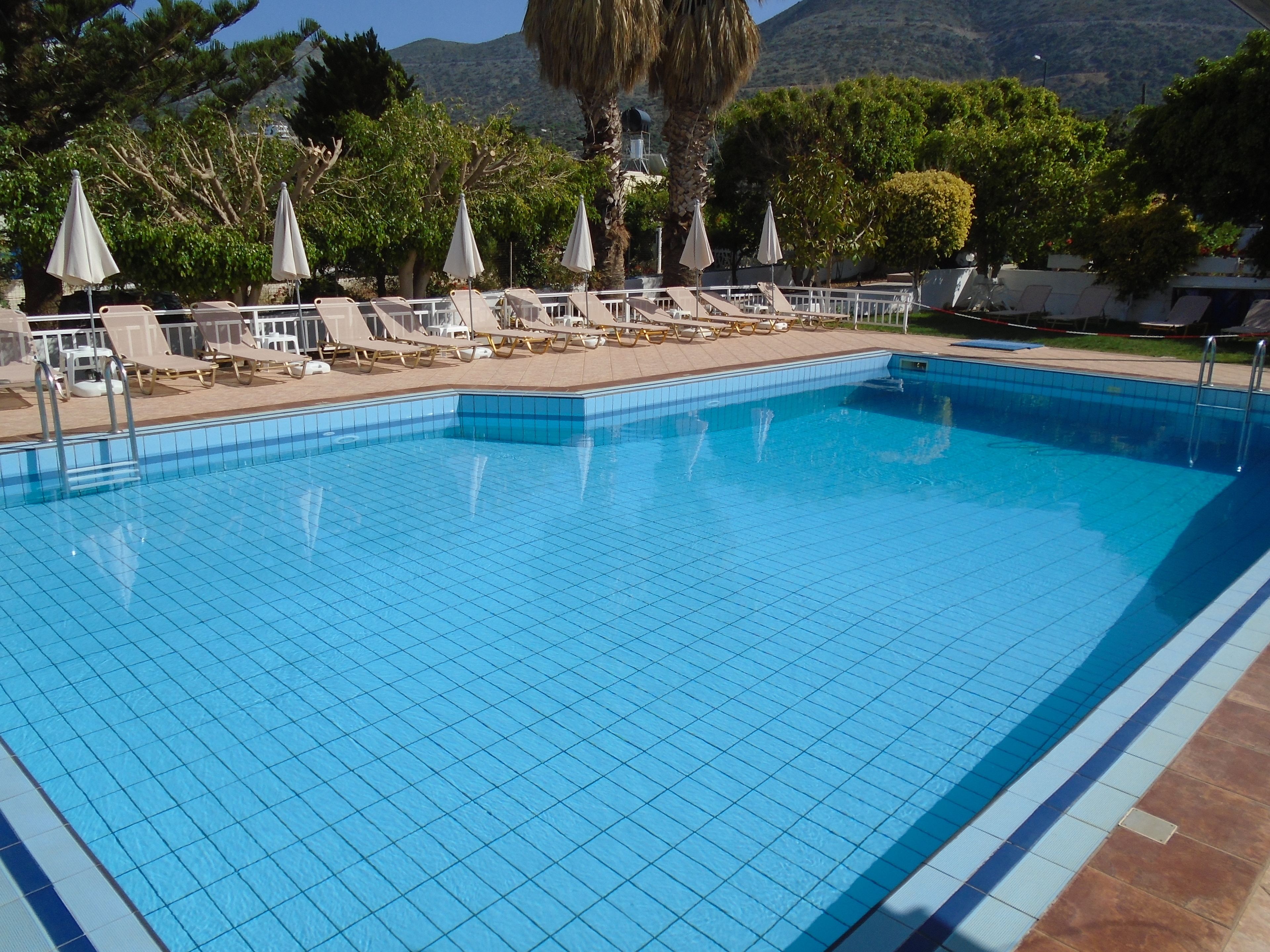 Outdoor pool, pool umbrellas, pool loungers