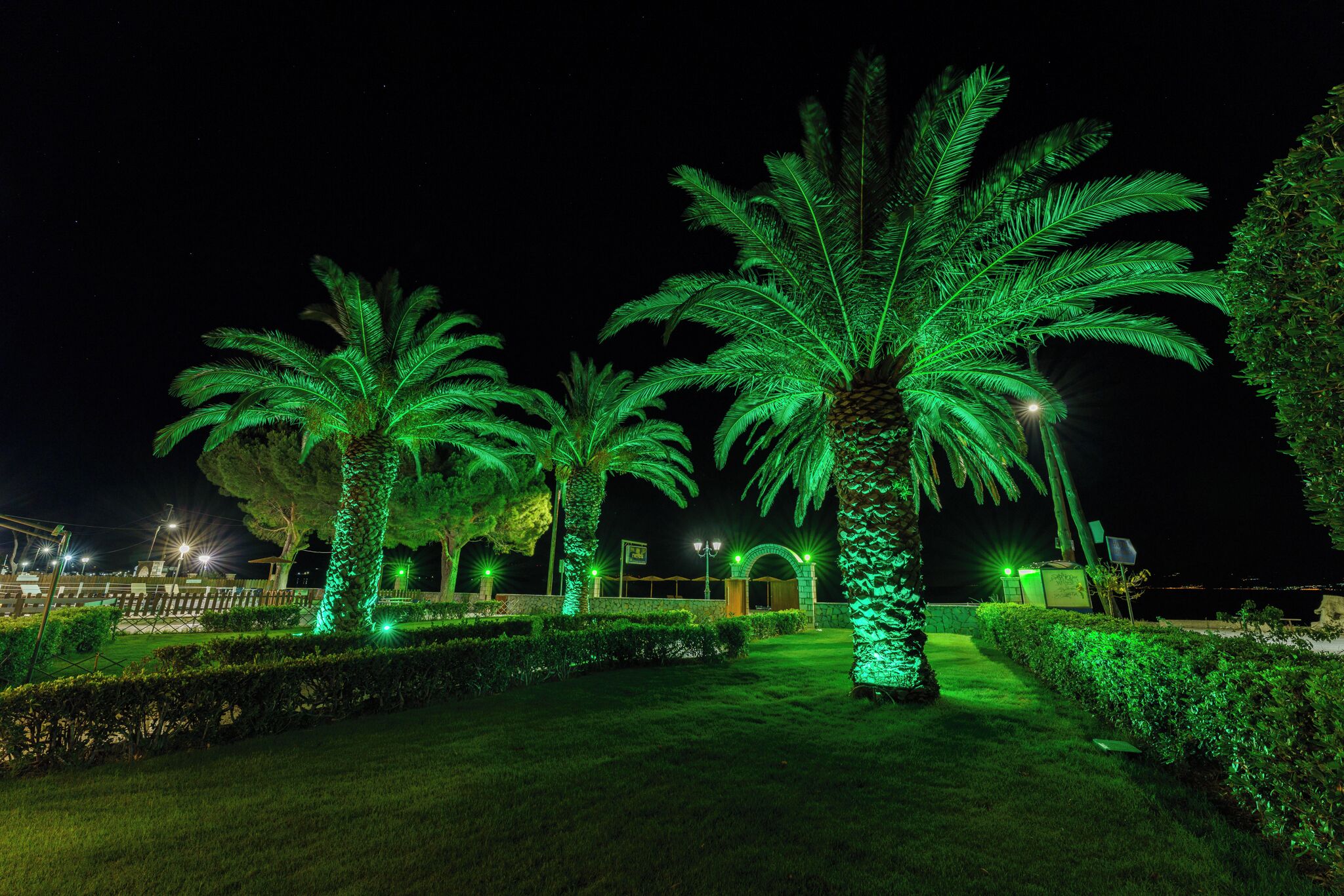 A nighttime view of a landscaped area with palm trees and a pathway.