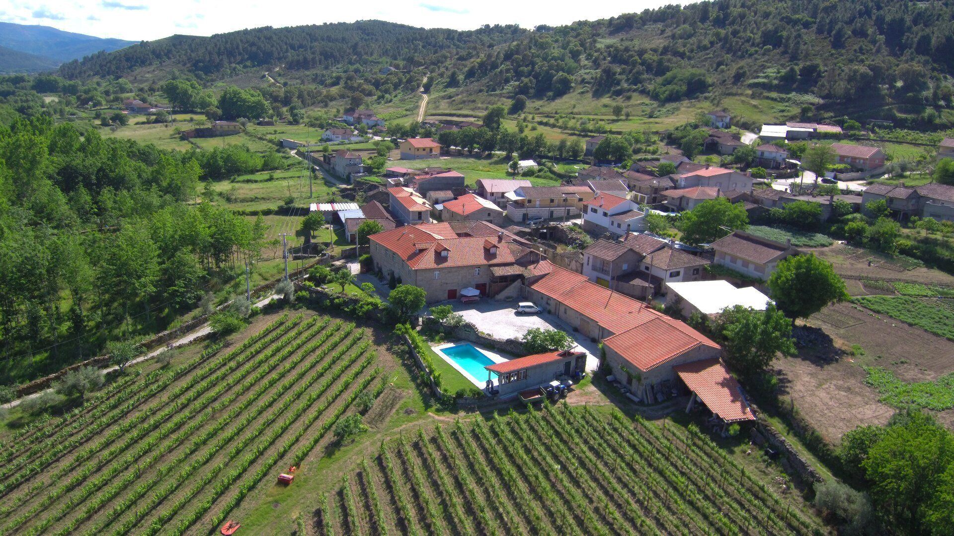 A rural village with houses, vineyards, and a swimming pool.