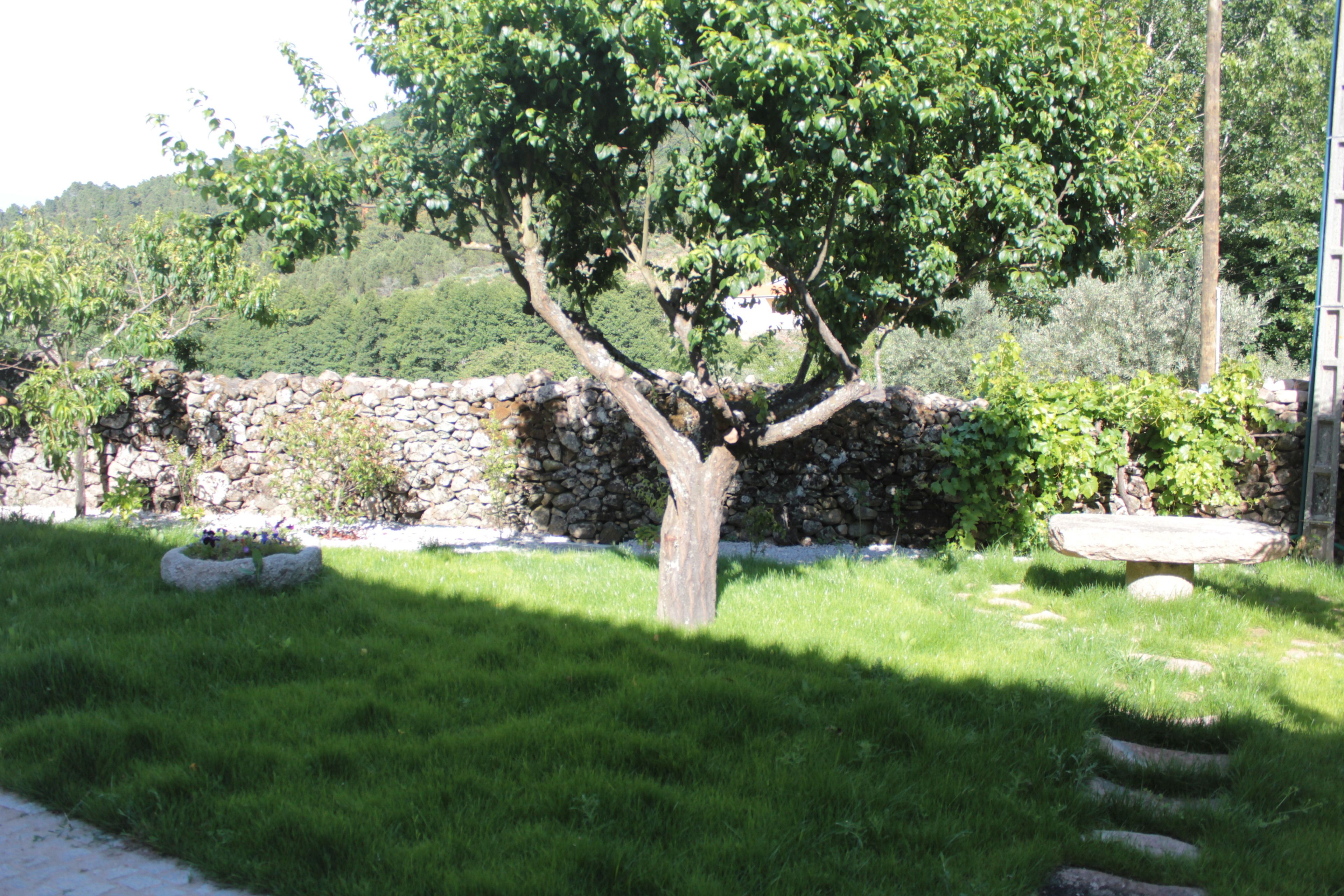 Foto - Casa Grande do Seixo