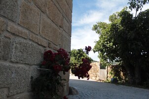 Área da propriedade