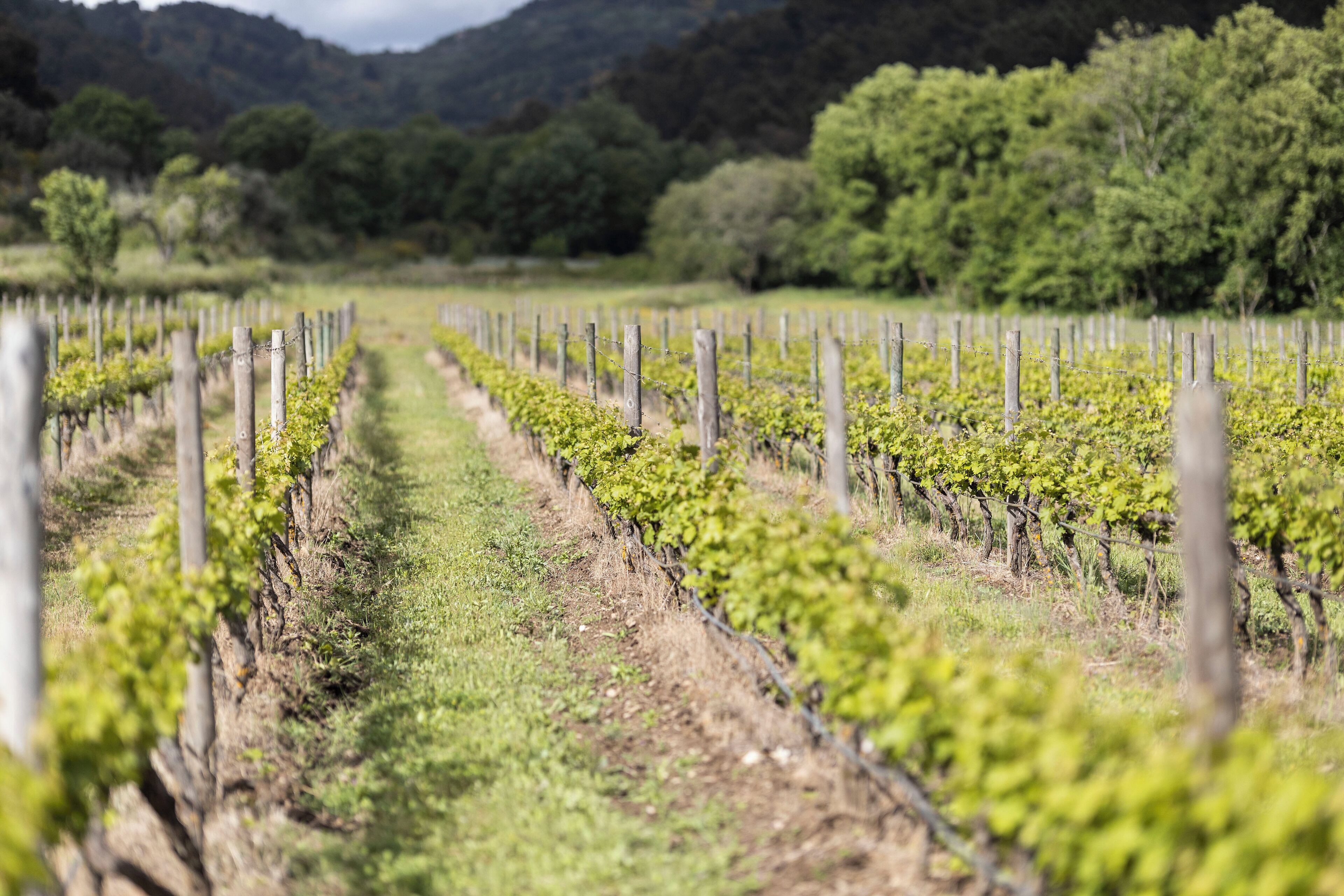 Foto - Casa Grande do Seixo