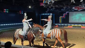 Een optreden met twee ruiters op paarden in een circushaard.