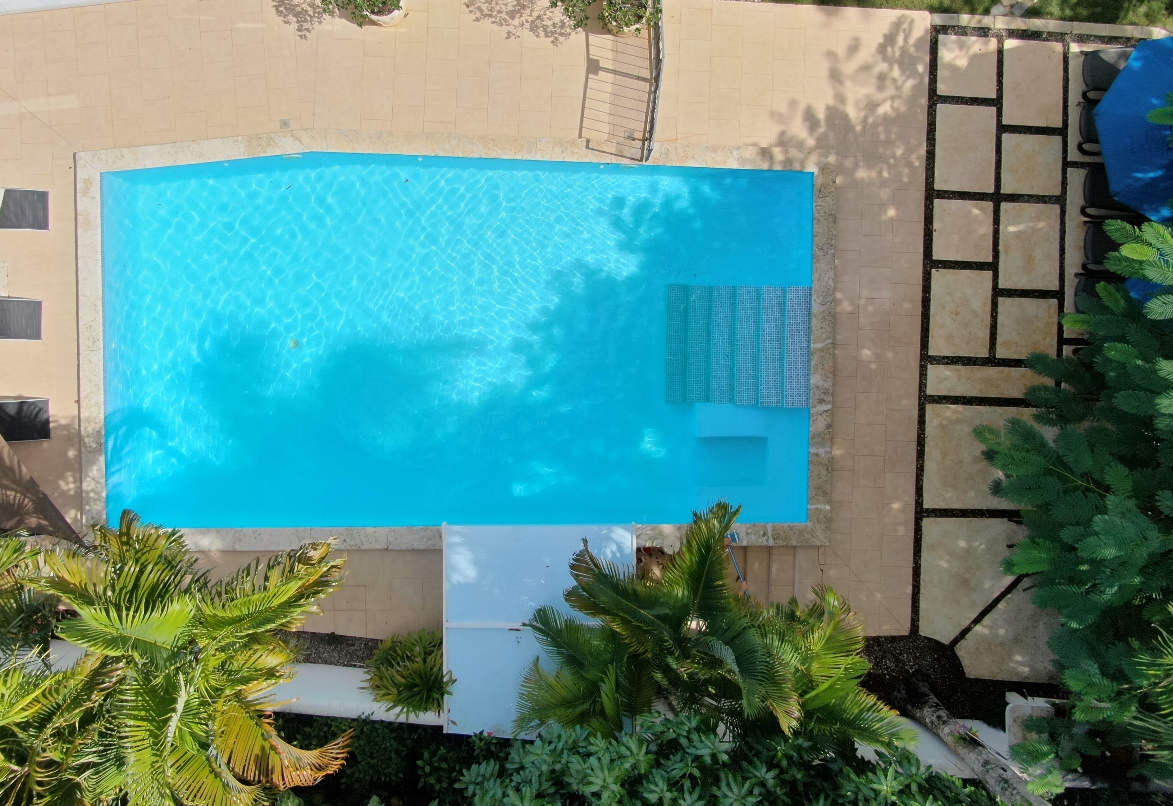 Vista aérea de una piscina rodeada de vegetación y un área de terraza con baldosas.