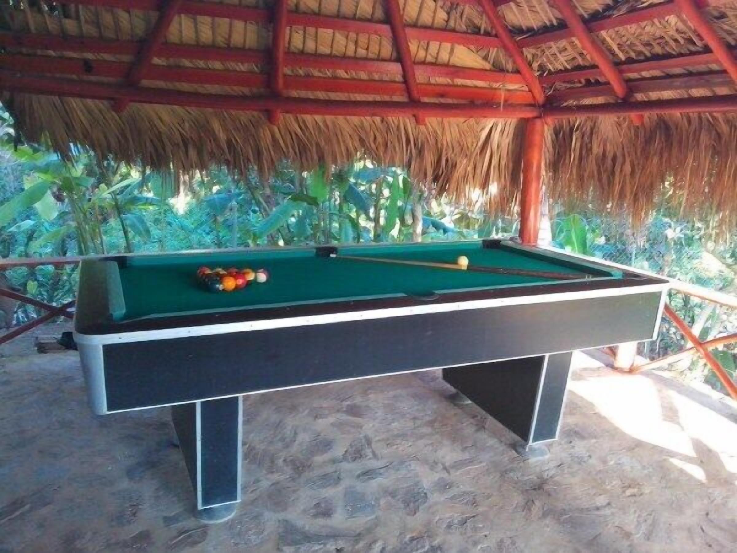 A pool table with balls, a thatched roof, and tropical plants in the background.