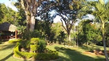 Taman