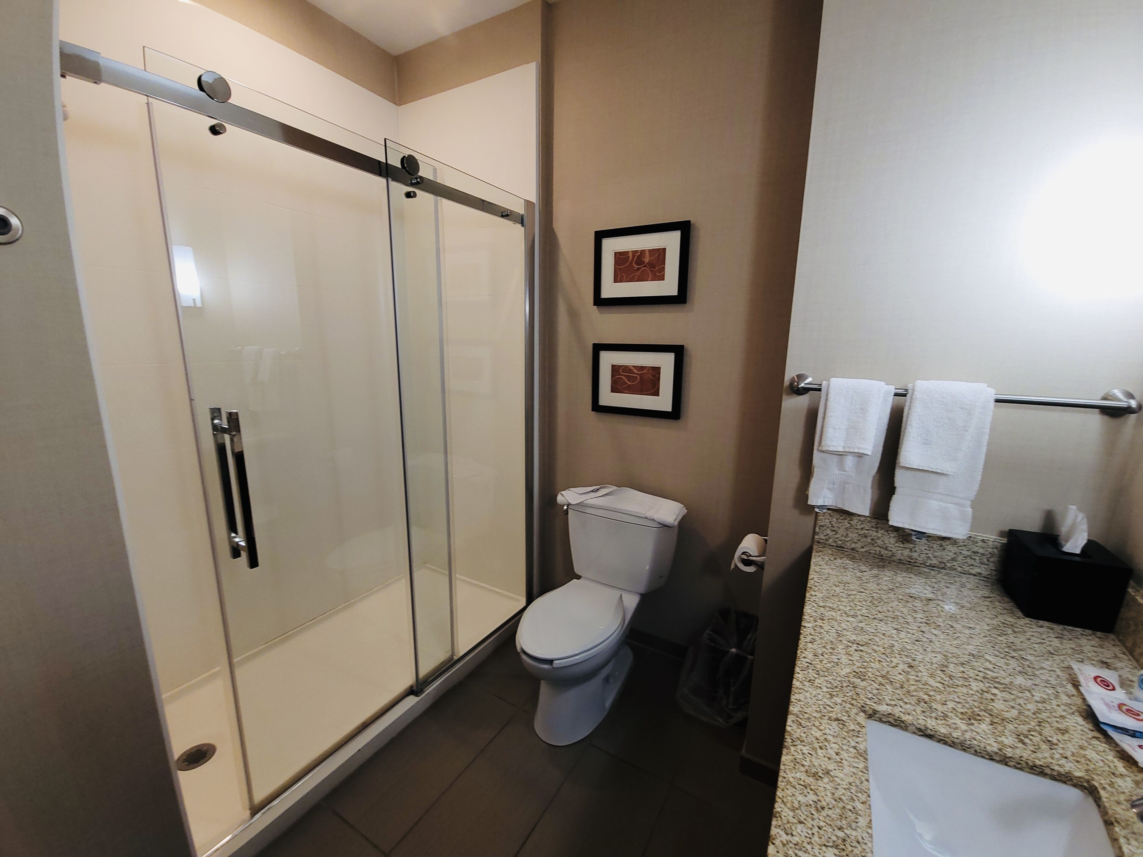 A modern bathroom with a glass shower enclosure, a toilet, and a sink with a towel rack.