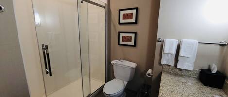A modern bathroom with a glass shower enclosure, a toilet, and a sink with a towel rack.