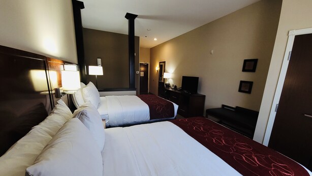 Een hotelkamer met twee bedden, een bureau, een stoel, een televisie en een deur.