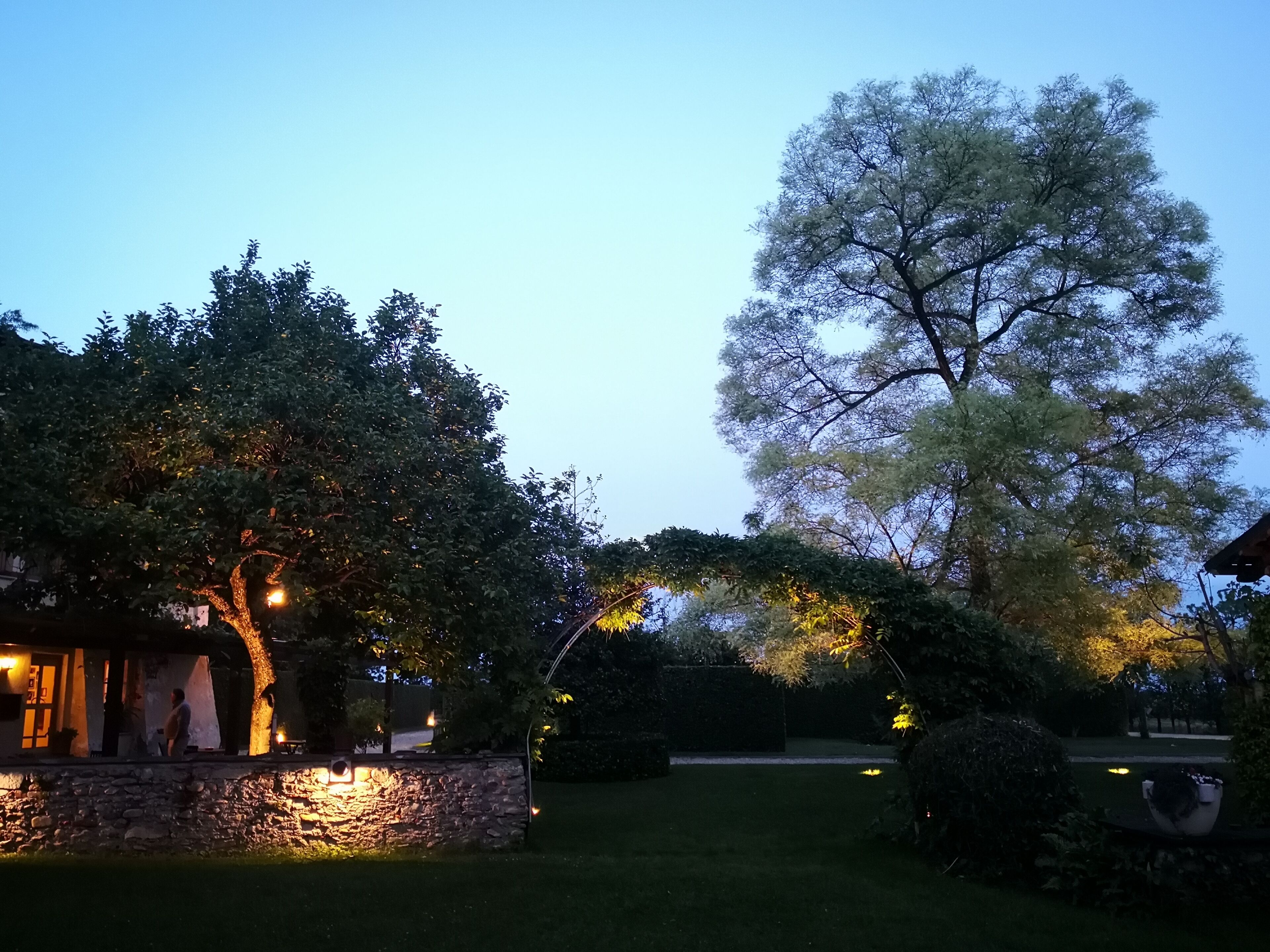 A stone wall with a small illuminated area, a large tree, and a well-lit building entrance.