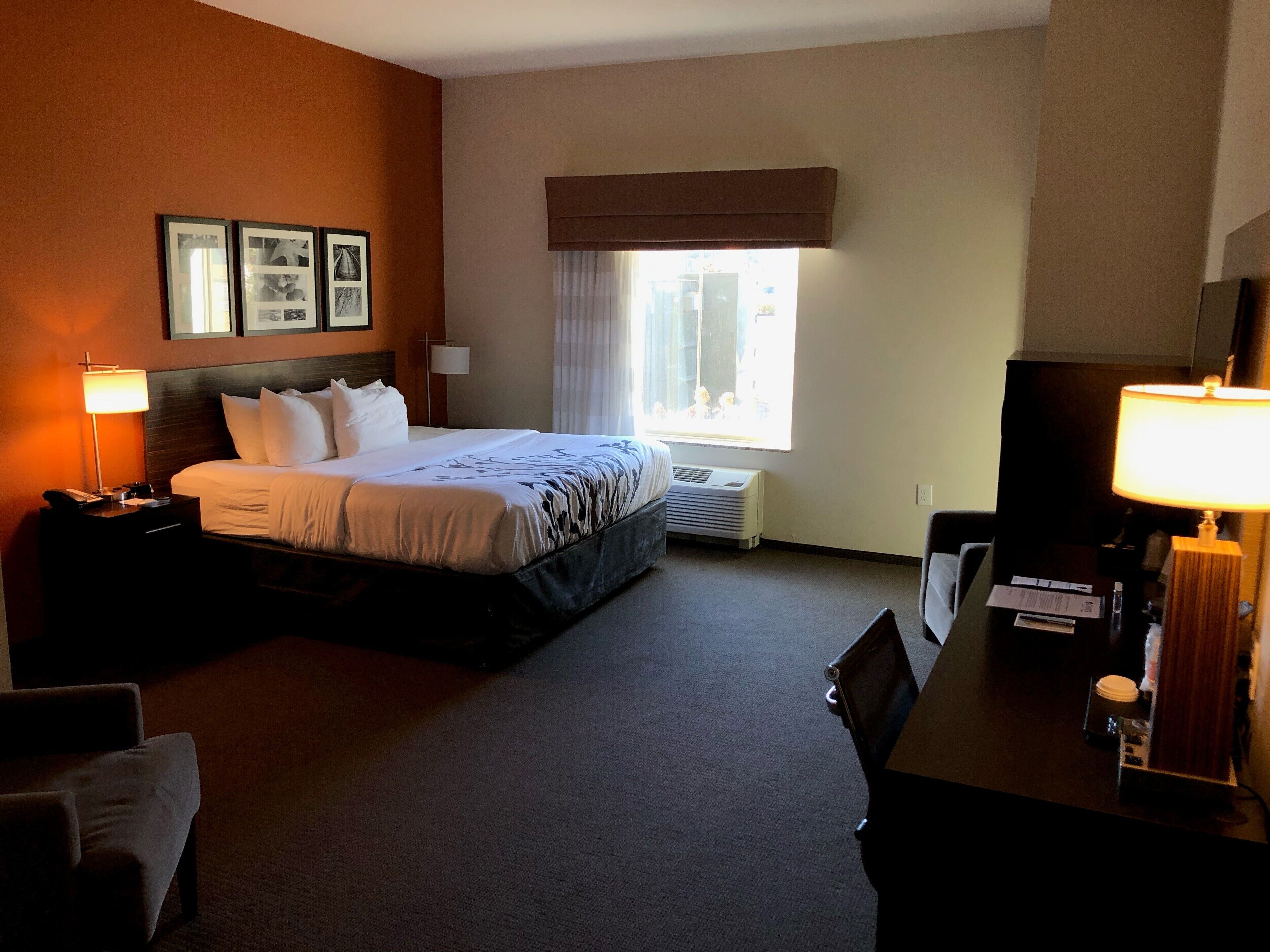 room, 1 king bed, accessible, non smoking | desk, laptop workspace, blackout curtains, iron/ironing board