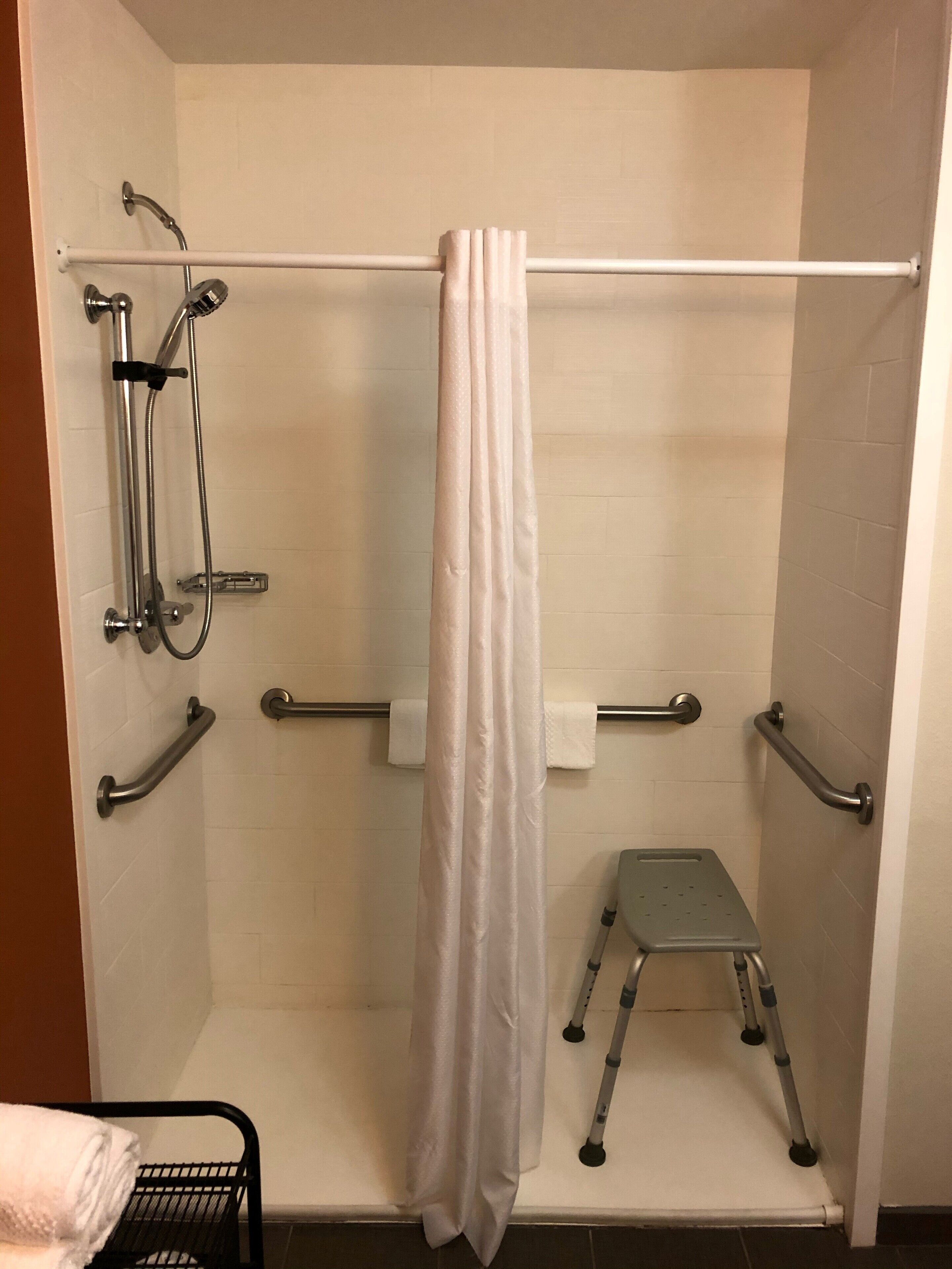 room, 1 king bed, accessible, non smoking | bathroom shower