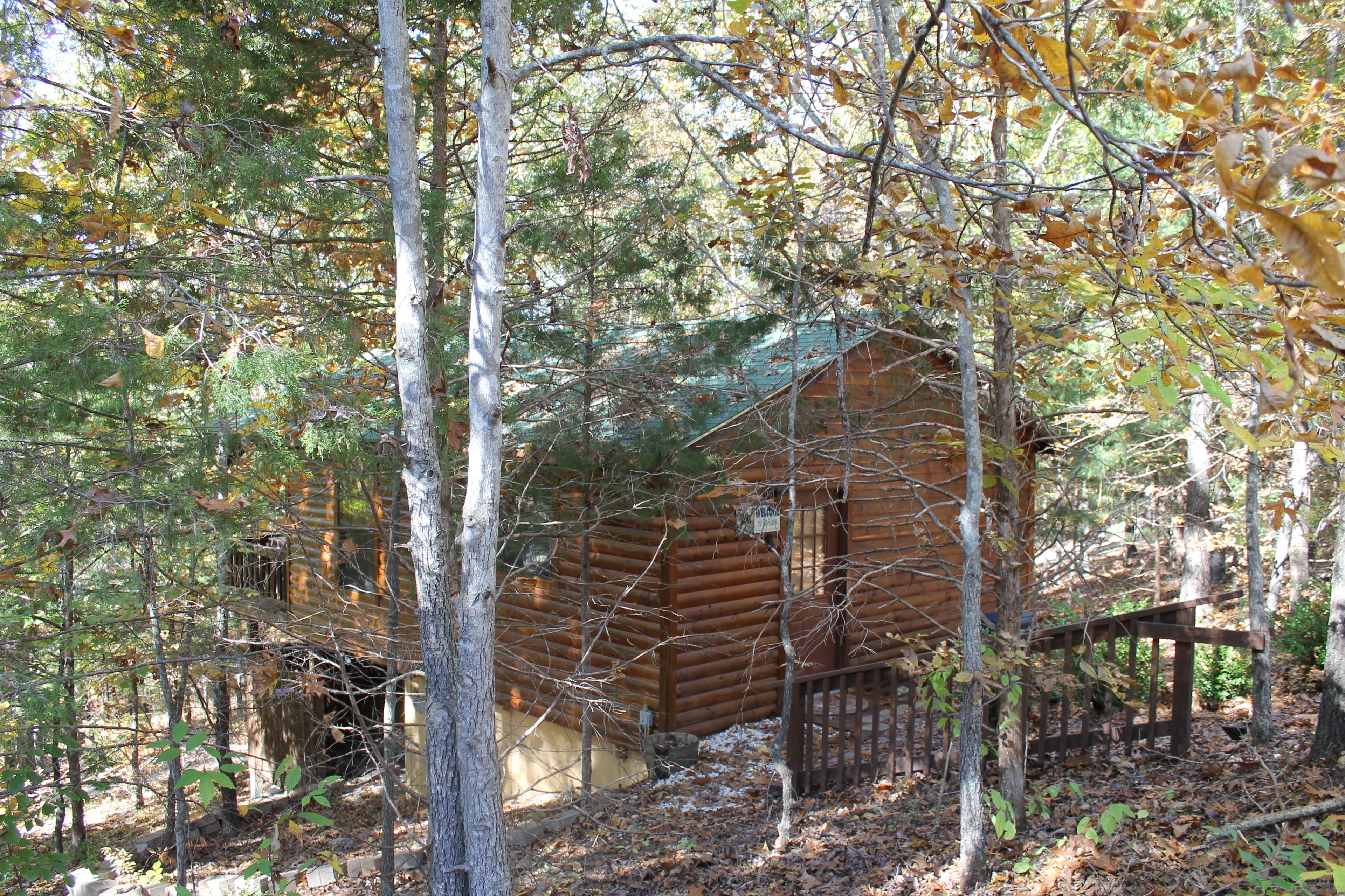 A log cabin surrounded by trees.