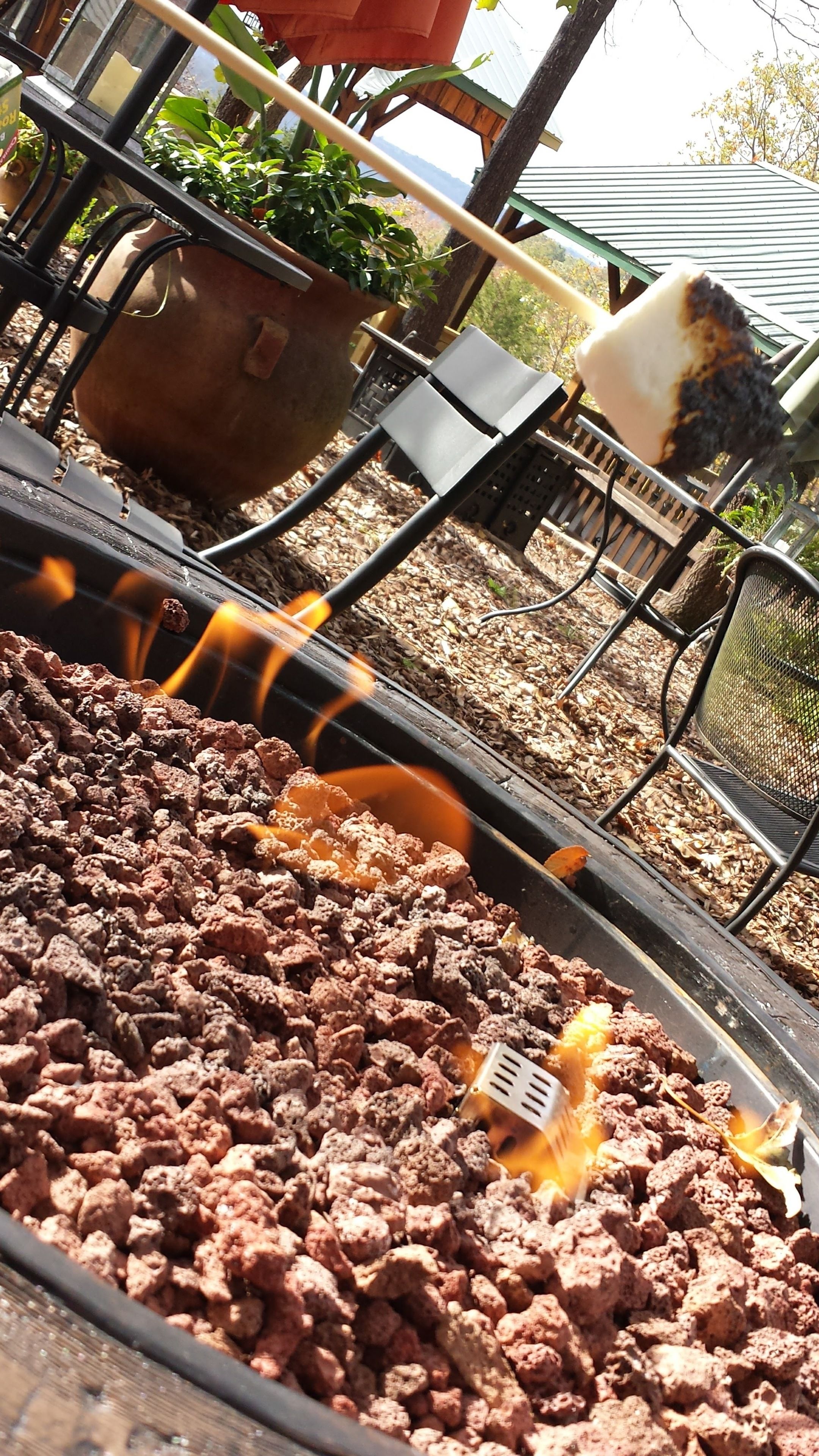 Una parrilla con carne asándose al aire libre, rodeada de plantas en macetas y una silla metálica.
