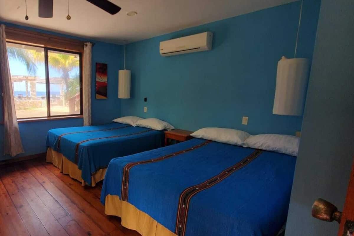 A room with two beds, a desk, and a window with a view of palm trees.