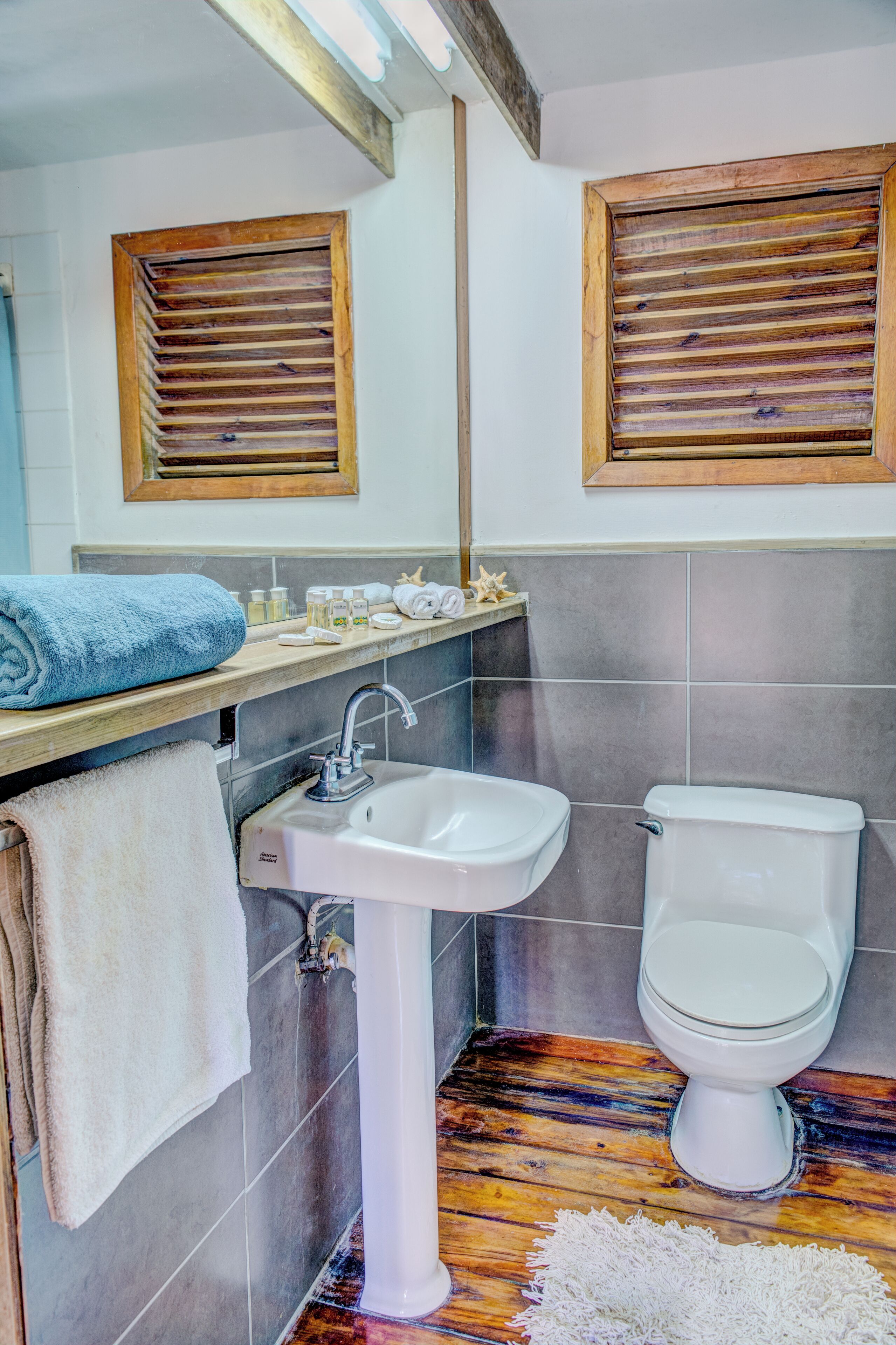 economy double room, 1 bedroom, ocean view | bathroom | shower, free toiletries, towels, soap