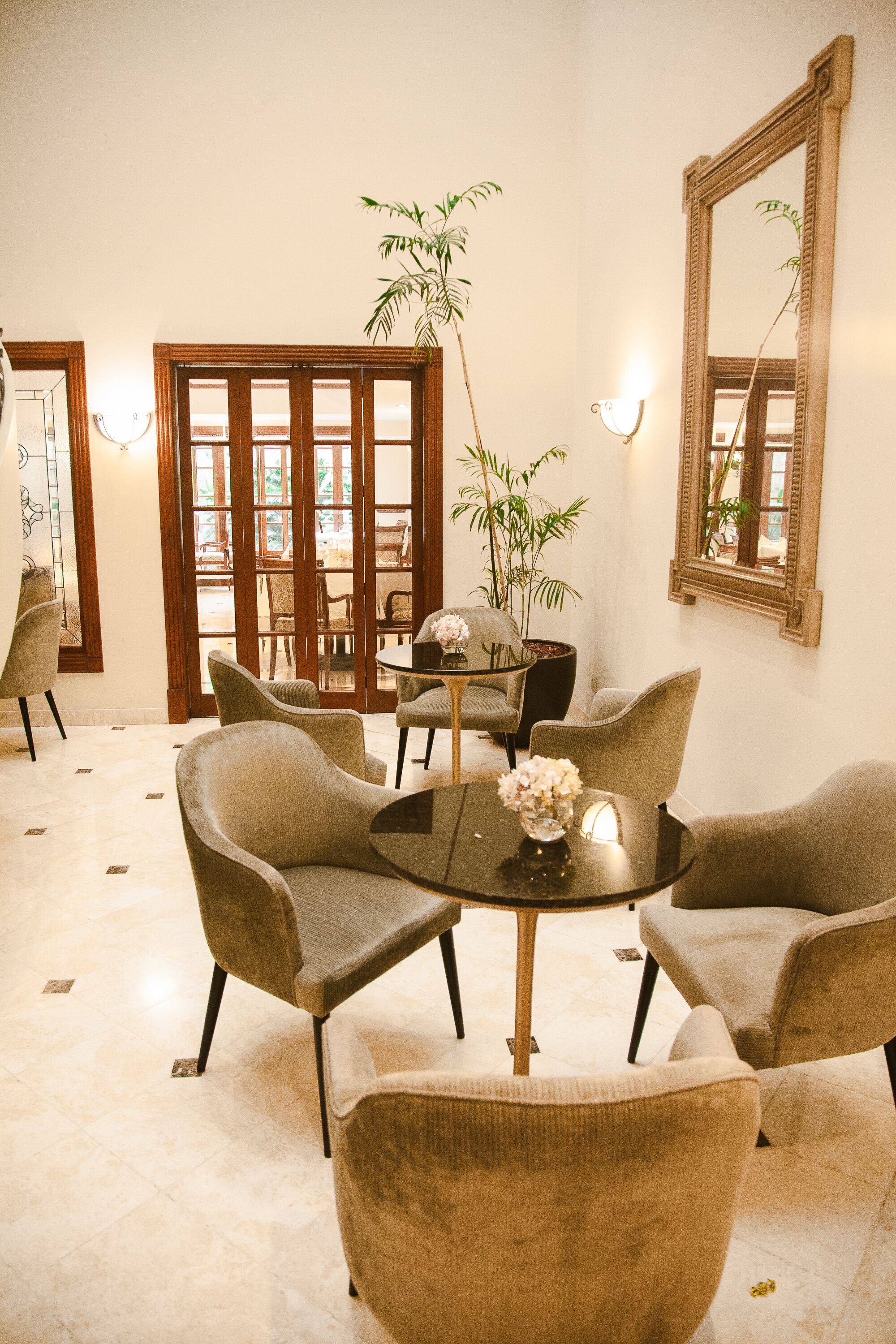A room with a round table, four chairs, a potted plant, and a mirror on the wall.