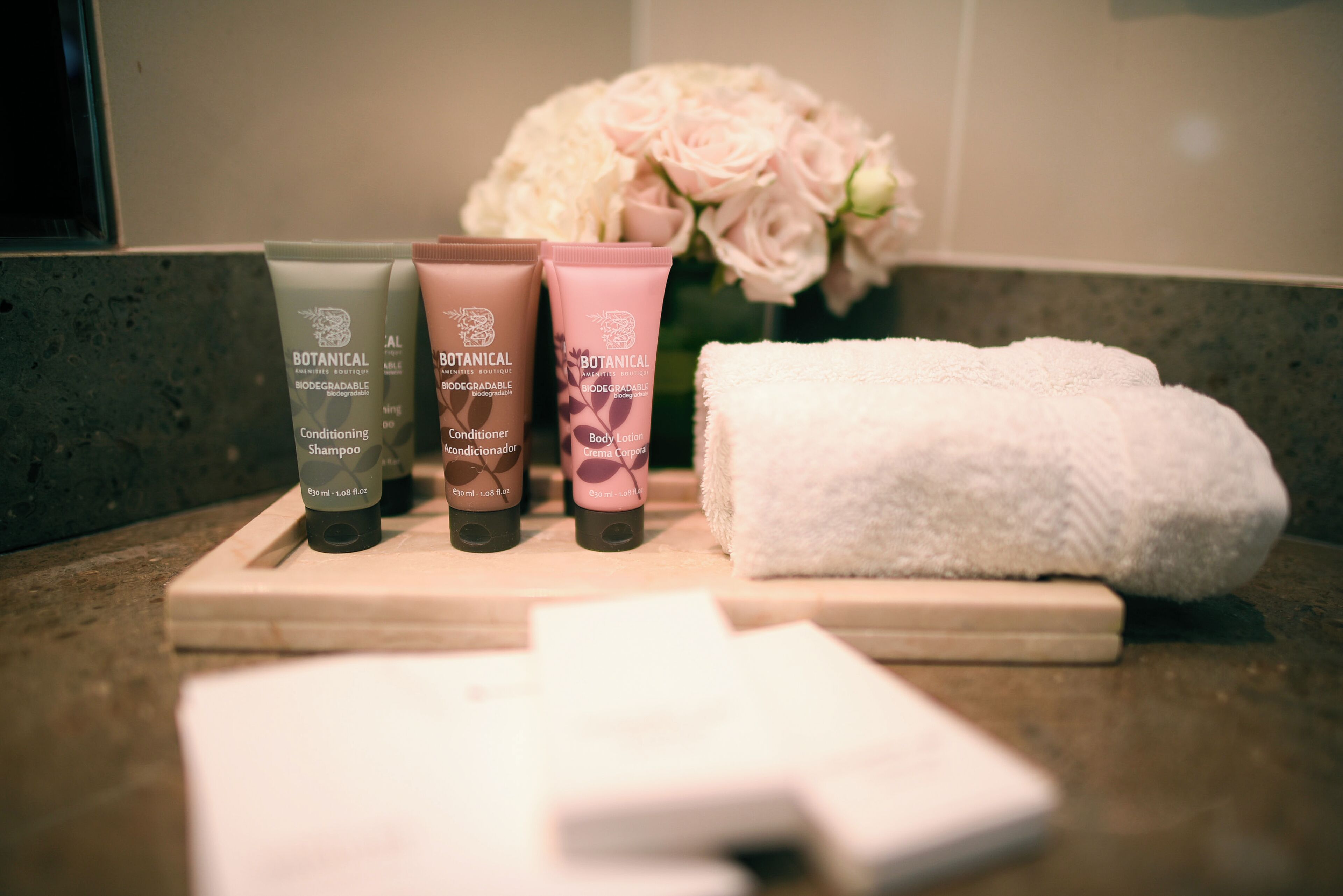 combined shower/bathtub, free toiletries, hair dryer, towels