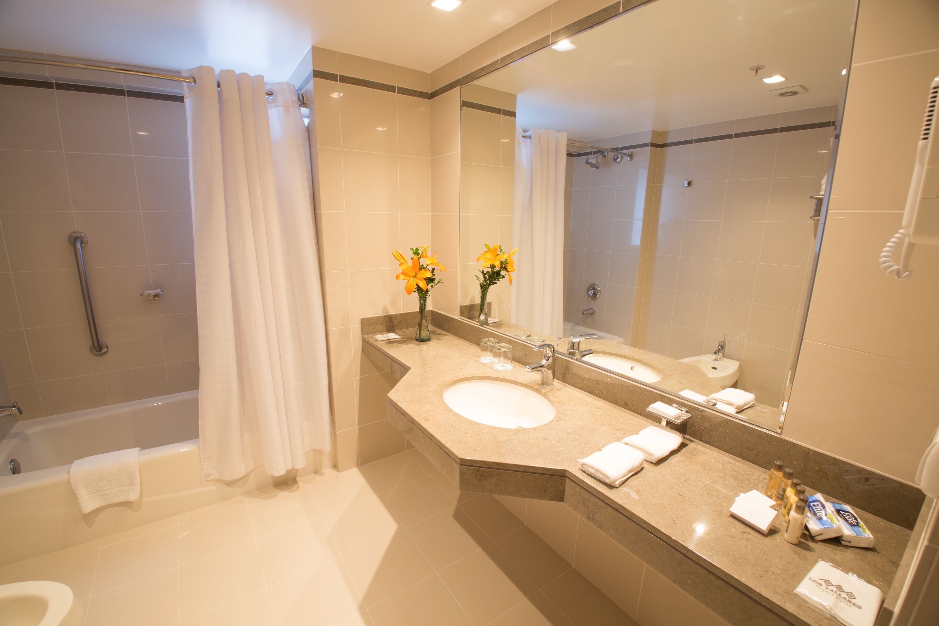 combined shower/bathtub, free toiletries, hair dryer, towels