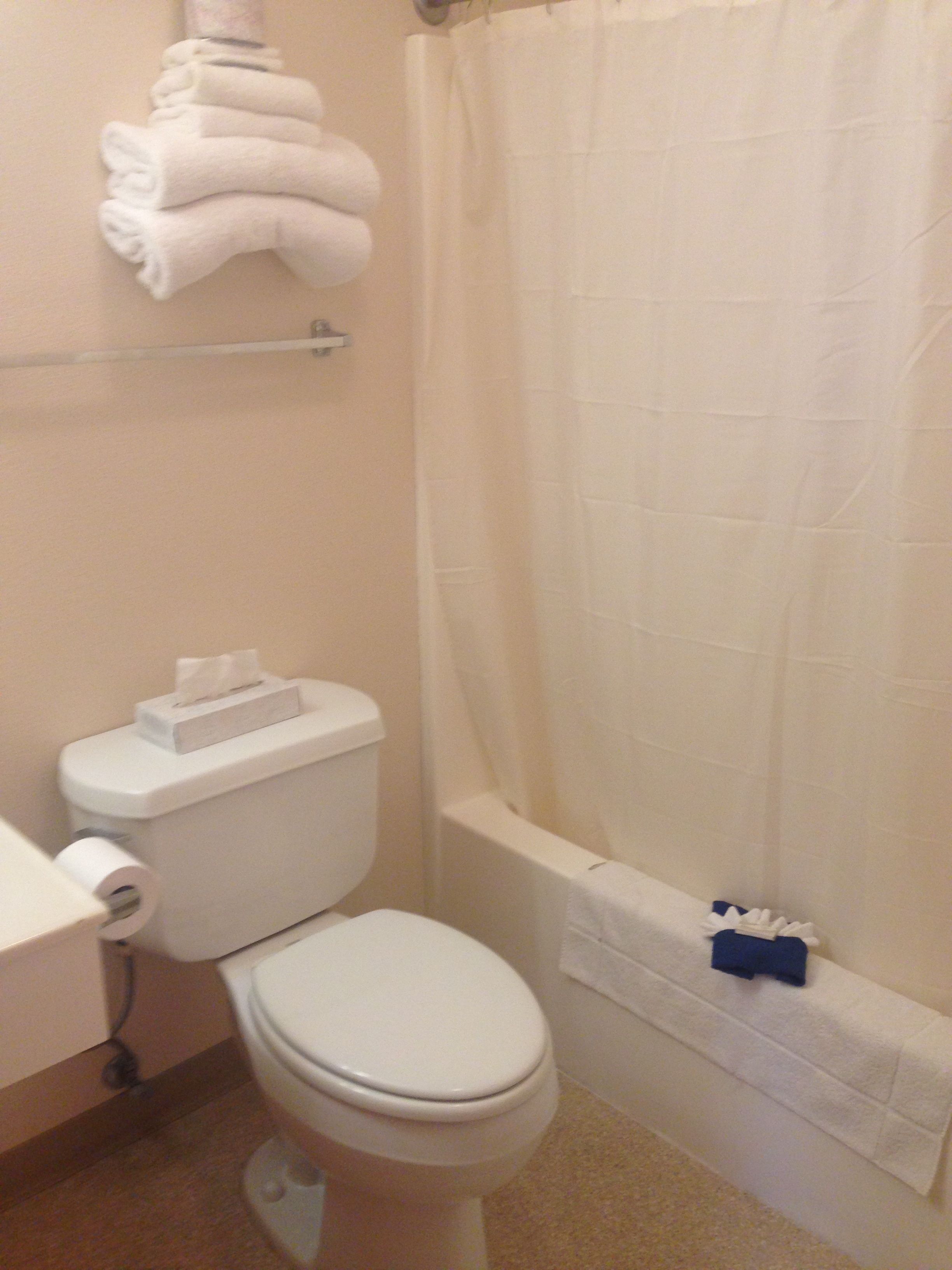 Un baño con inodoro, toallero con toallas dobladas, cortina de ducha y bañera.