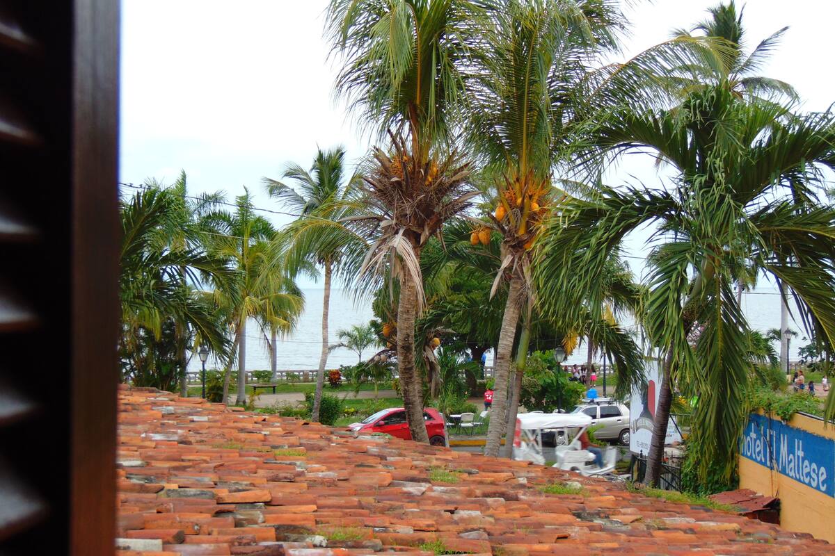 A view of a beachside area with palm trees, a brick pathway, and a sign for "Hotel Maltese".