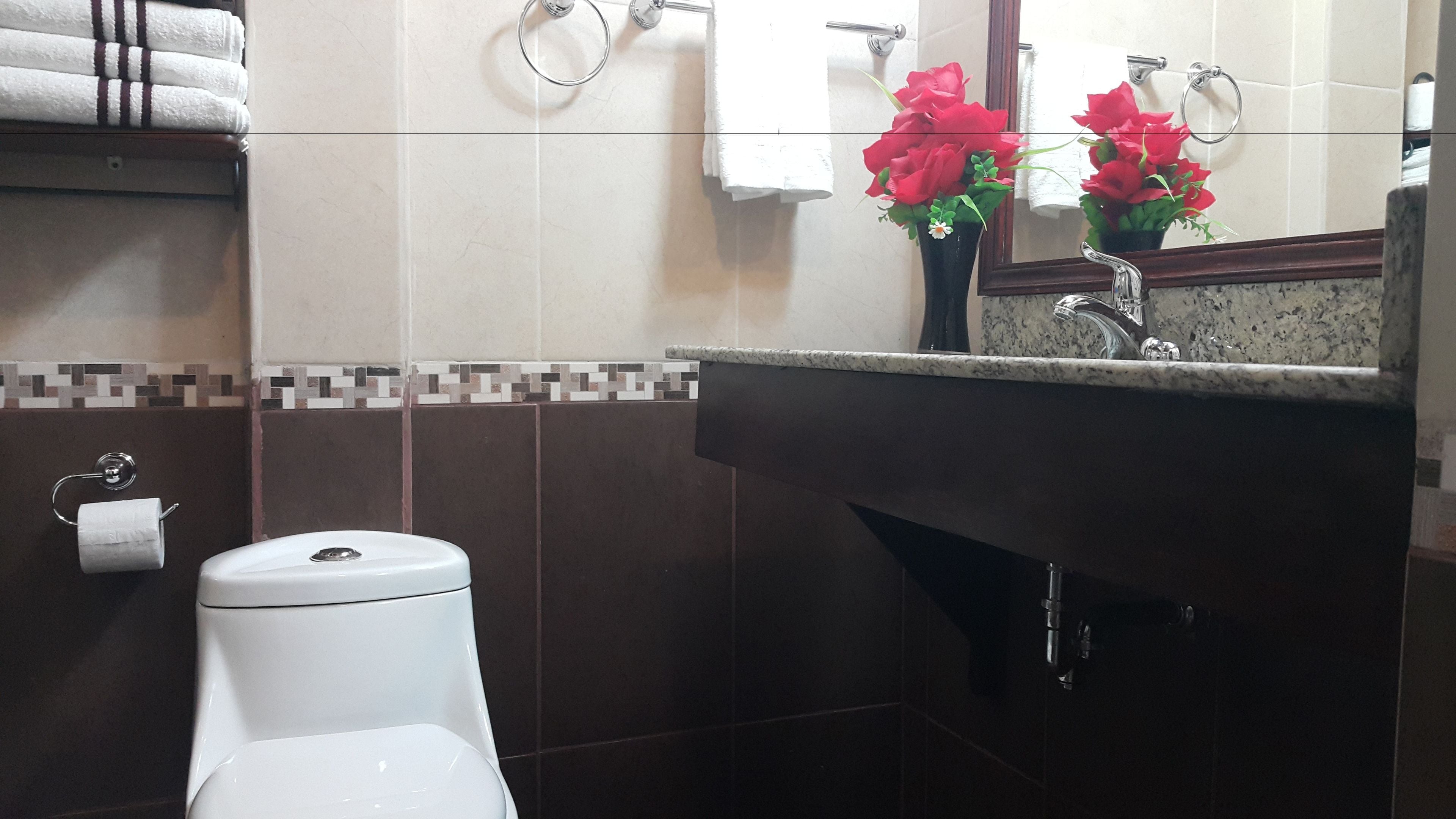 Un baño con inodoro, lavamanos y espejo.
