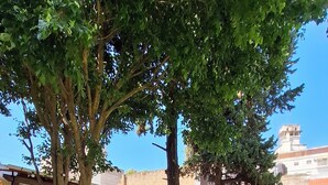Un área con mesas y sillas para sentarse al aire libre, rodeada de césped y árboles.