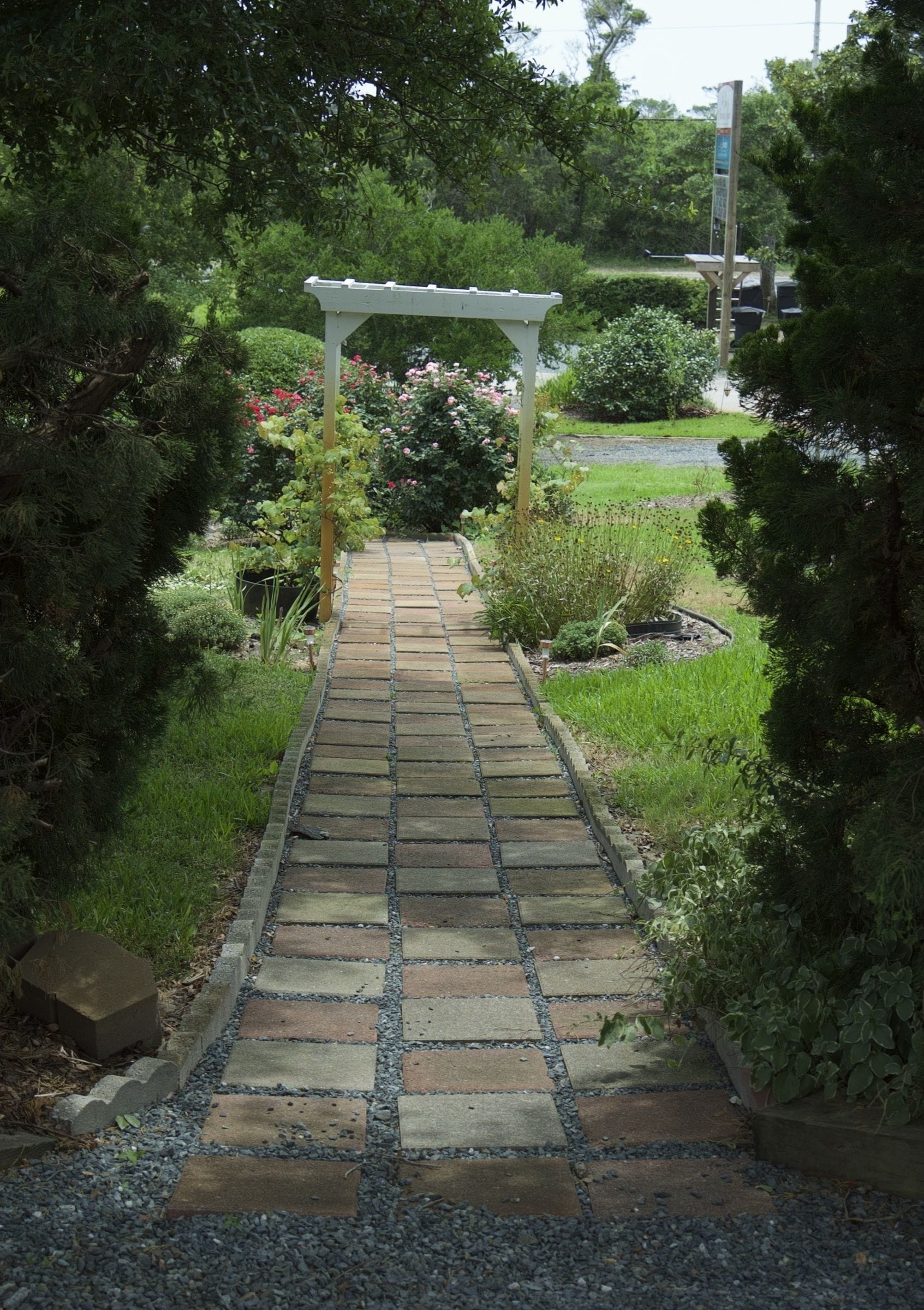Un chemin de pierres mène à une pergola blanche dans un jardin où l’on trouve différentes espèces de plantes et une haie de chaque côté.