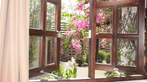 Vista a través de una ventana con marco de madera, mostrando un jardín con flores rosas y diversas plantas.