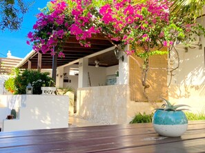 Property grounds - Aruba Lagunita (Noord)