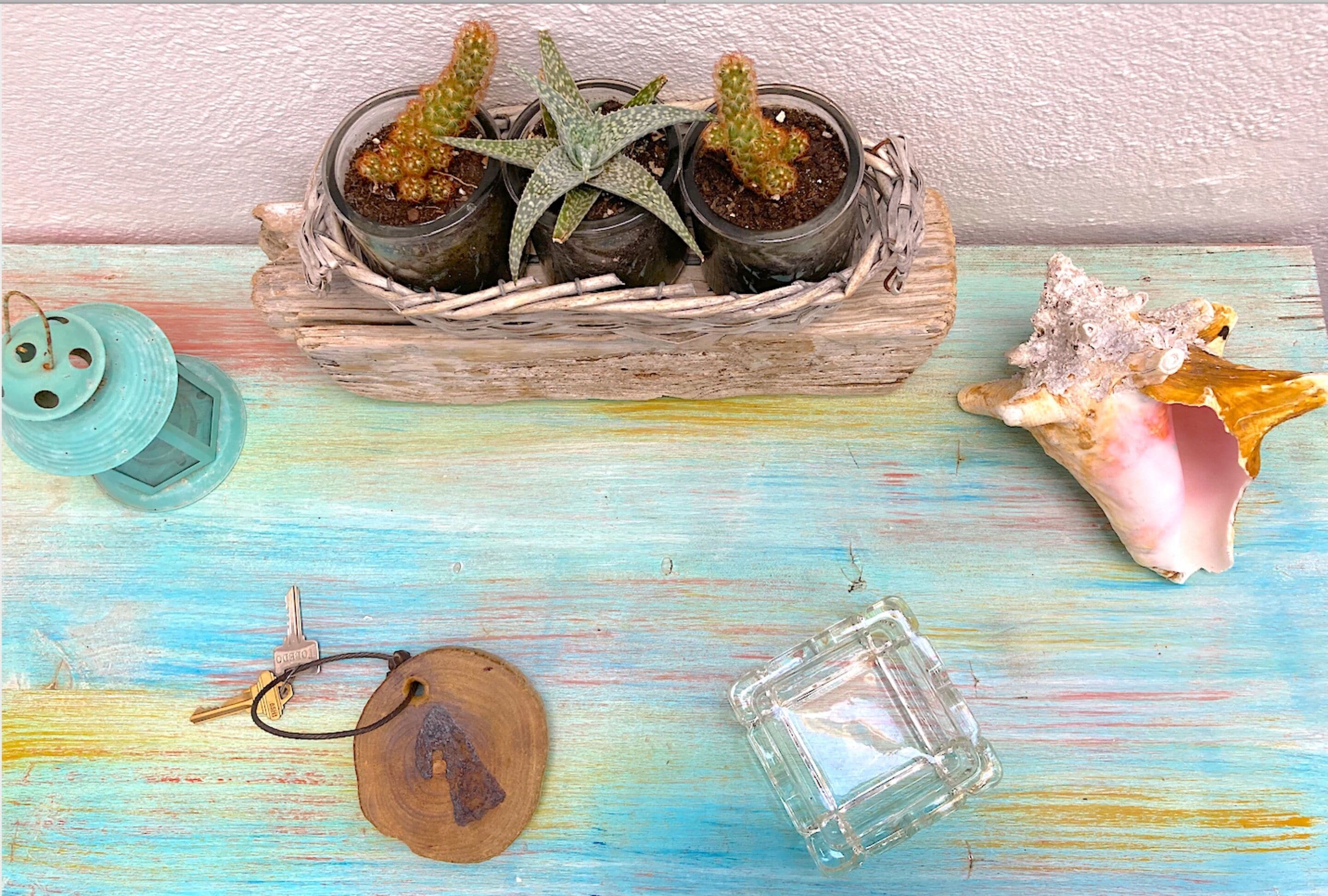 Una mesa de madera rústica con una cesta tejida que contiene tres cactus en macetas y una estrella de mar, un llavero pequeño de madera, una botella de vidrio y una concha.