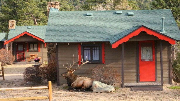 A lodge with a large elk in front, a red door, and a stone chimney. - Tiny Town Cabins (Estes Park)