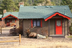 A lodge with a large elk in front, a red door, and a stone chimney.