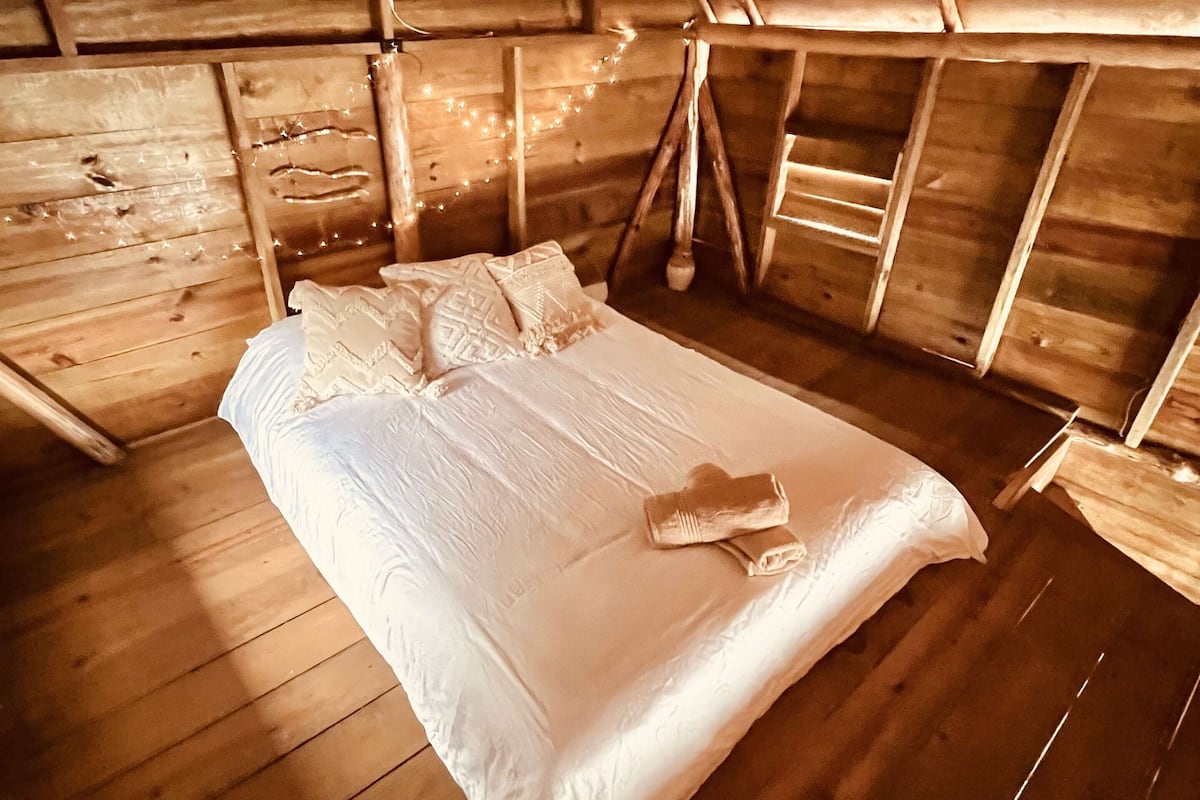 Literie de qualité supérieure, couette en duvet d'oie